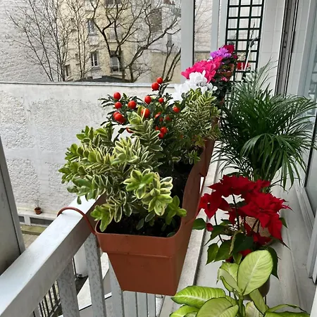 Studio Cosy Spacieux De 30m Proche Tour Eiffel 2pers *